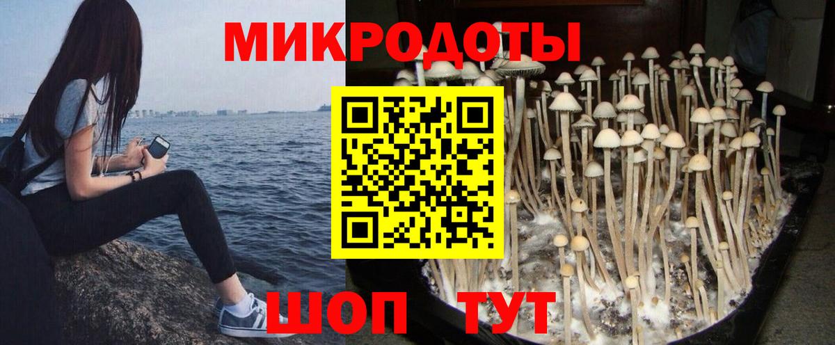 Псилоцибиновые грибы мицелий Богородск